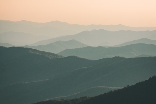 Stephanie Wojciechowicz